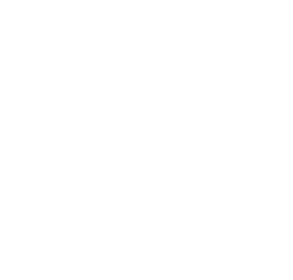 Trust Vision